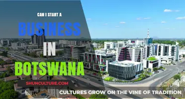 Starting a Business in Botswana: Opportunities, Challenges, and Key Steps