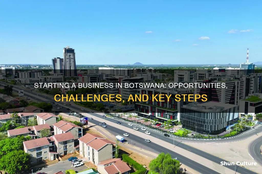 can I start a business in botswana