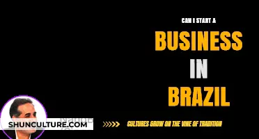 Starting a Business in Brazil: Opportunities, Challenges, and Legal Insights
