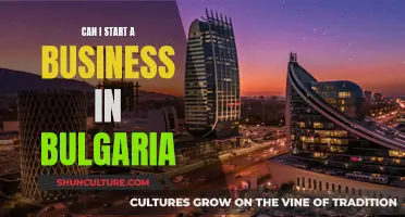 Exploring Entrepreneurial Opportunities: Starting a Business in Bulgaria