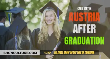 Staying in Austria After Graduation: What Are Your Options?