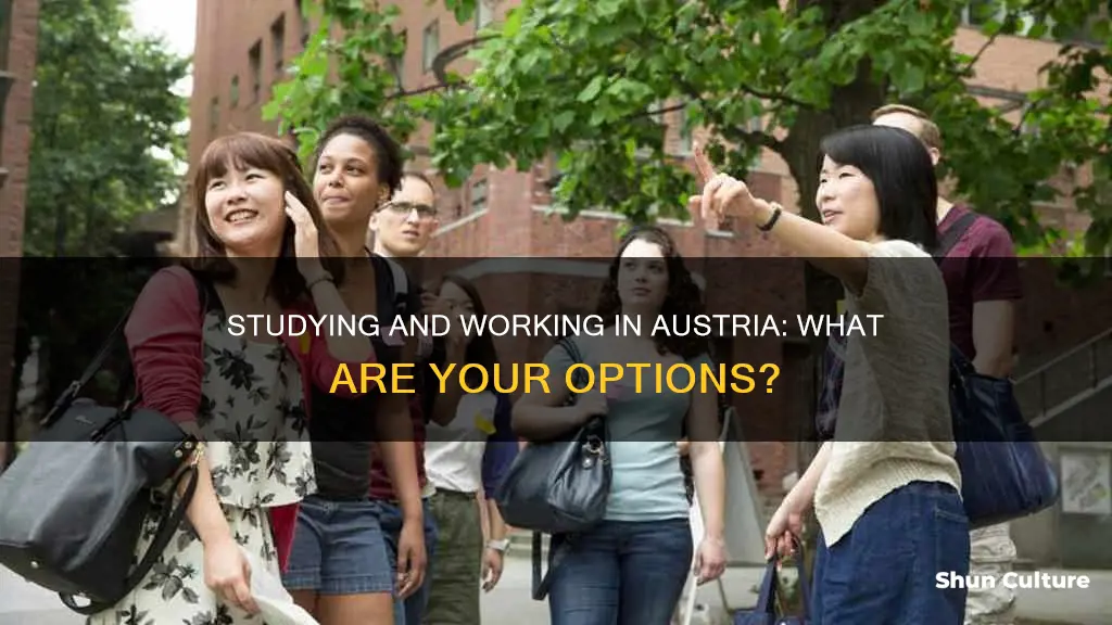 can I study and work in austria