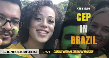 Exploring CEP Studies in Brazil: Opportunities and Requirements for International Students