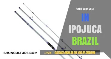 Surf Casting in Ipojuca, Brazil: Tips, Spots, and What to Expect
