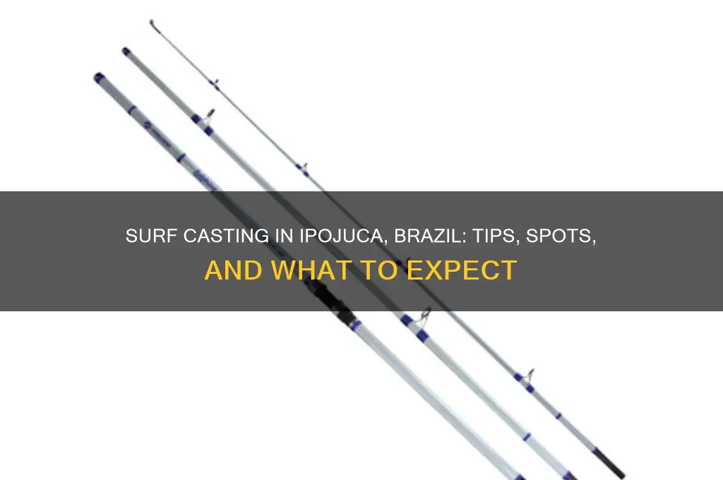 can I surf cast in ipojuca brazil