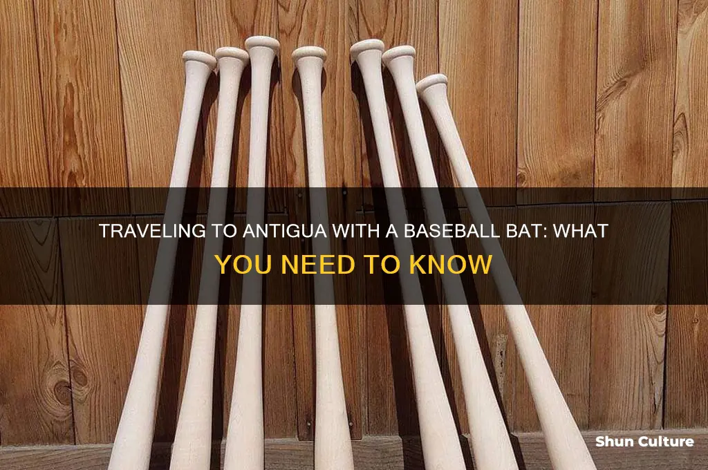 can I take a baseball bat to antigua