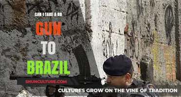 Traveling to Brazil with a BB Gun: Legalities and Restrictions Explained