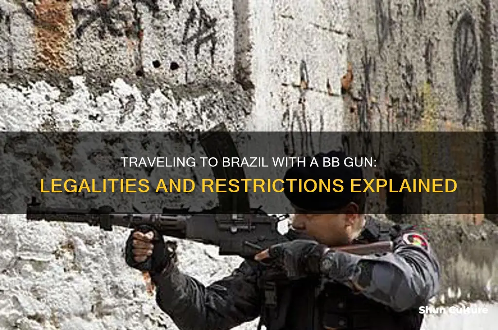can I take a bb gun to brazil