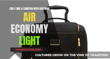 Austrian Air Economy Light: Carry-on Allowance Explained