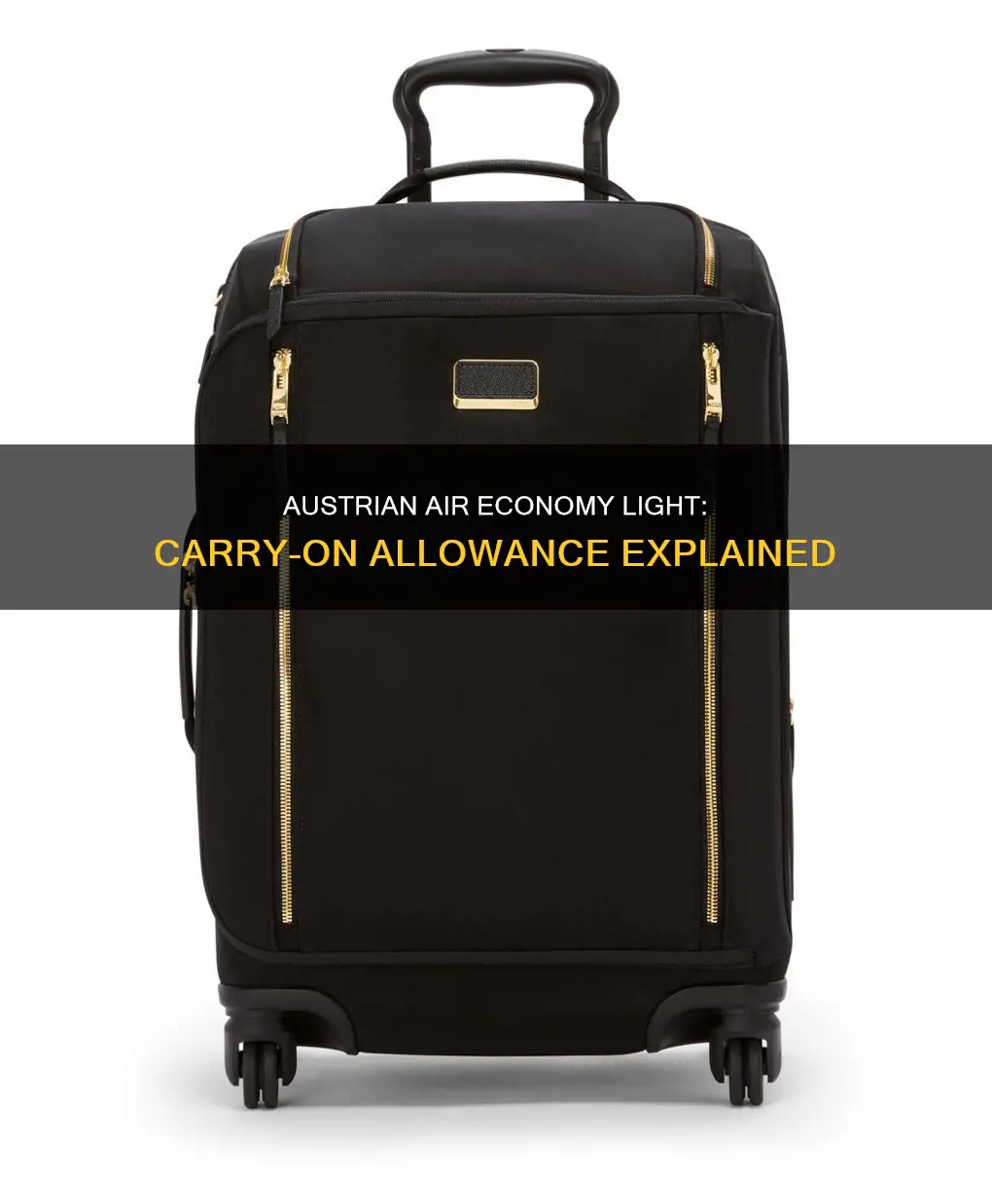 can I take a carryon with austrian air economy light