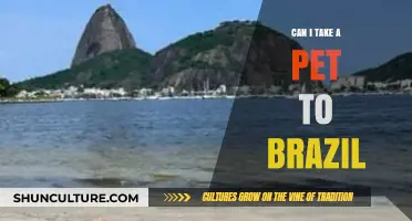 Traveling to Brazil with Pets: What You Need to Know