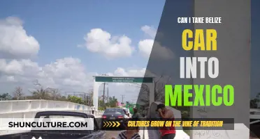 Exploring Mexico: Can You Take Your Belize-Registered Car?