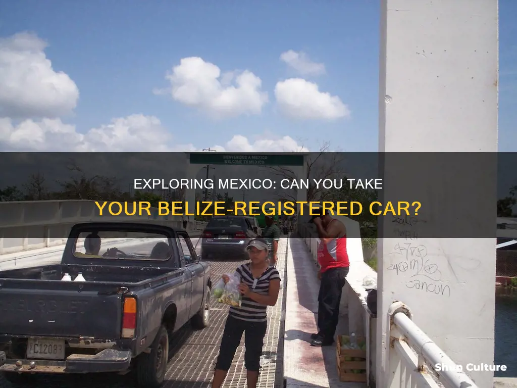 can I take belize car into mexico