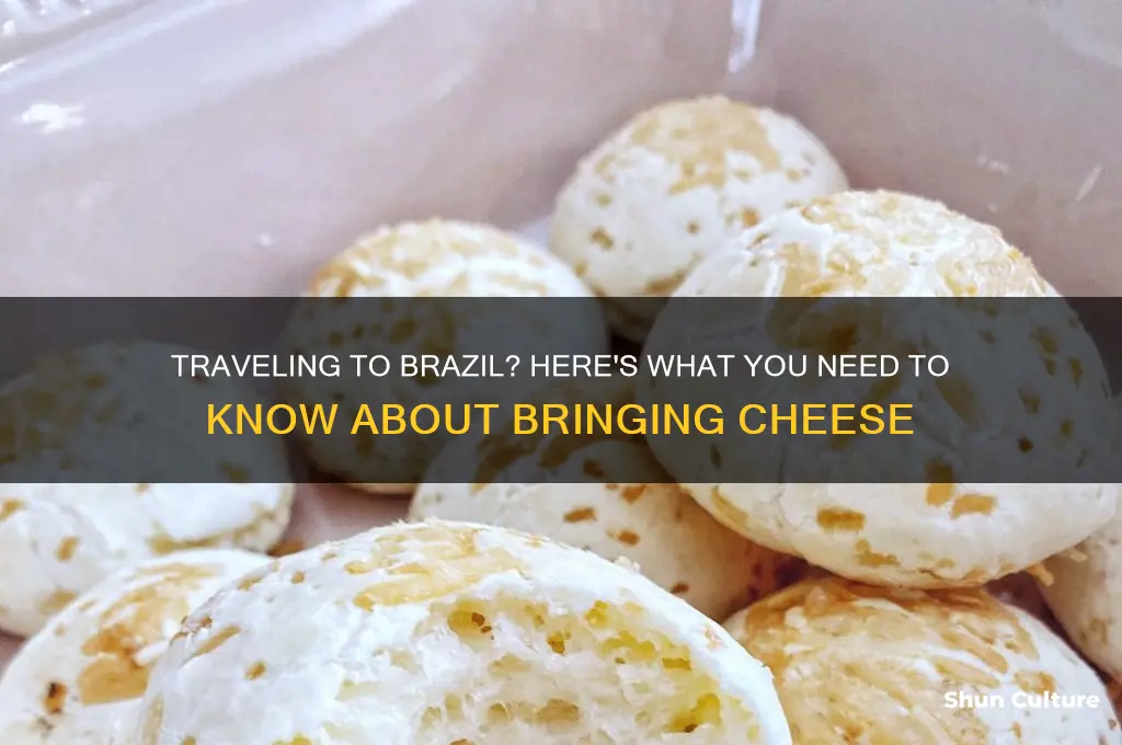 can I take cheese into brazil