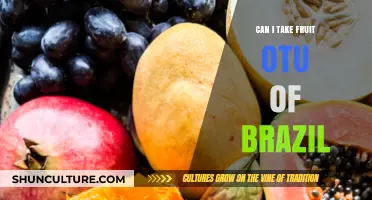 Traveling with Tropical Treats: Can You Take Fruit Out of Brazil?