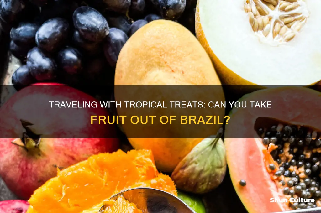 can I take fruit otu of brazil