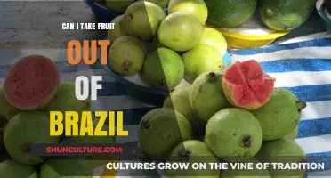 Traveling with Tropical Treats: Can You Take Fruit Out of Brazil?
