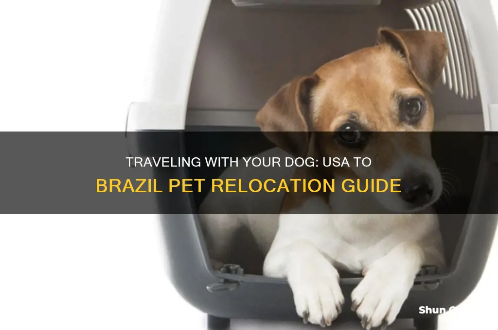 can I take my dog from usa to brazil