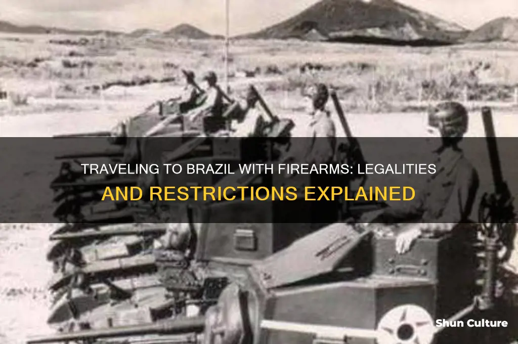 can I take my gun to brazil