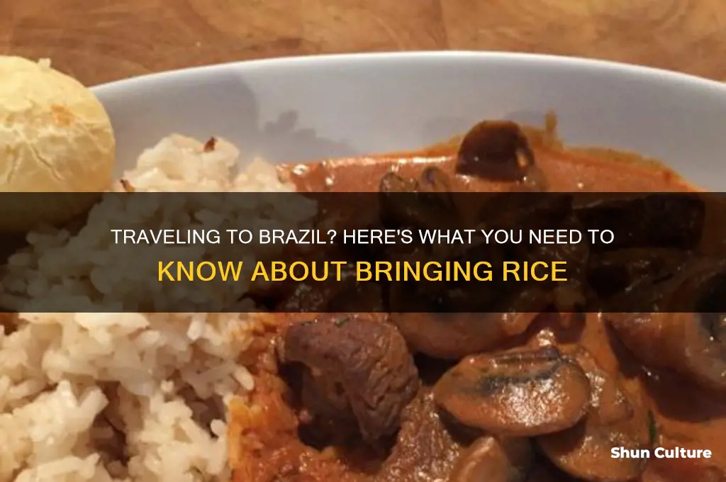 can I take rice to brazil