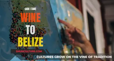 Traveling to Belize? Know the Rules for Bringing Wine