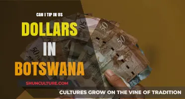 Tipping in Botswana: Can You Use US Dollars for Gratuities?