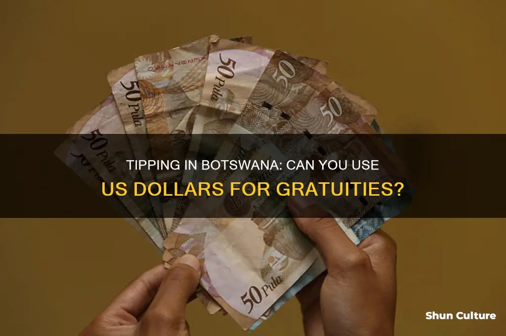 can I tip in us dollars in botswana