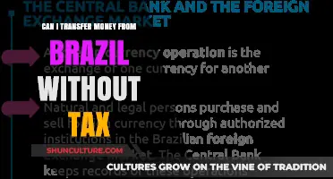 Tax-Free Money Transfers from Brazil: A Comprehensive Guide for Expats