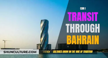 Exploring Bahrain: Transit Possibilities and Procedures