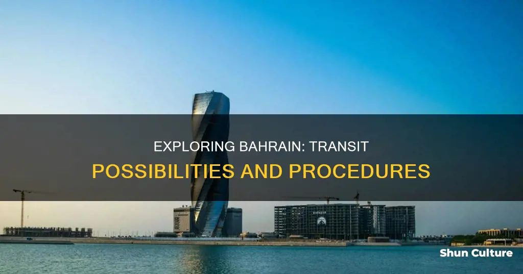 can I transit through bahrain