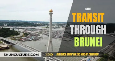 Transit Through Brunei: What Are the Requirements?