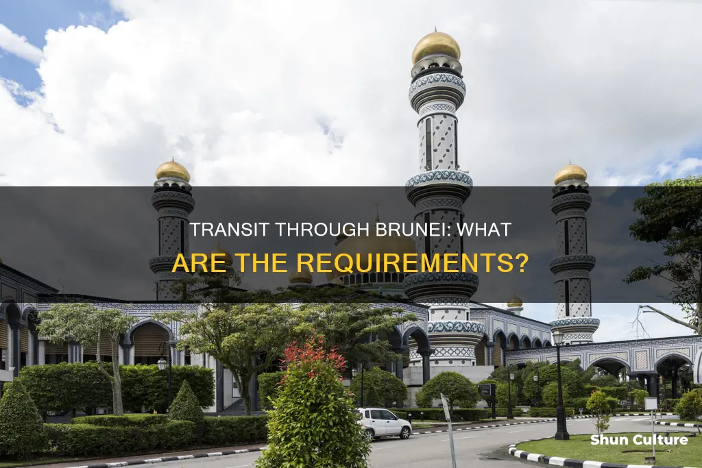 can I transit through brunei