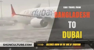 Traveling from Bangladesh to Dubai: Requirements, Tips, and Visa Guide