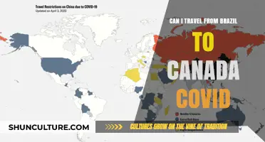 Traveling from Brazil to Canada During COVID-19: What You Need to Know