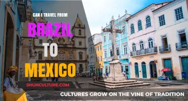 Traveling from Brazil to Mexico: Visa Requirements and Tips
