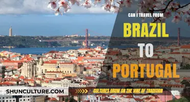Traveling from Brazil to Portugal: Requirements, Tips, and Visa Guide