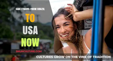 Traveling from Brazil to the USA: Current Rules and Requirements