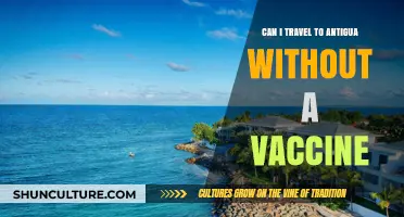 Traveling to Antigua: Vaccine Requirements and What You Need to Know