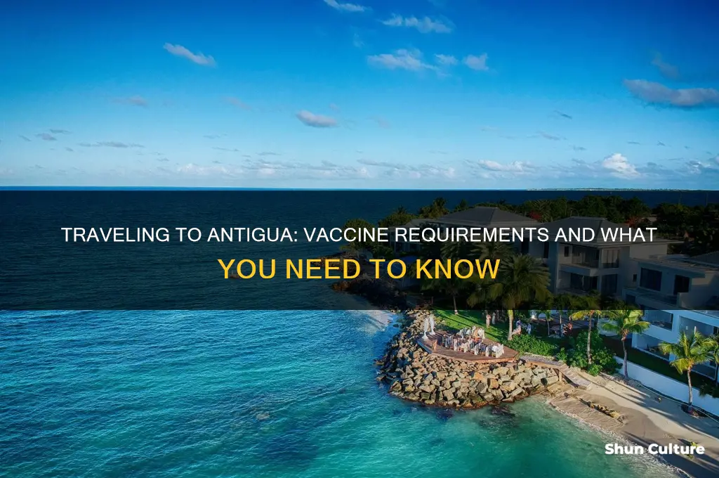 can I travel to antigua without a vaccine