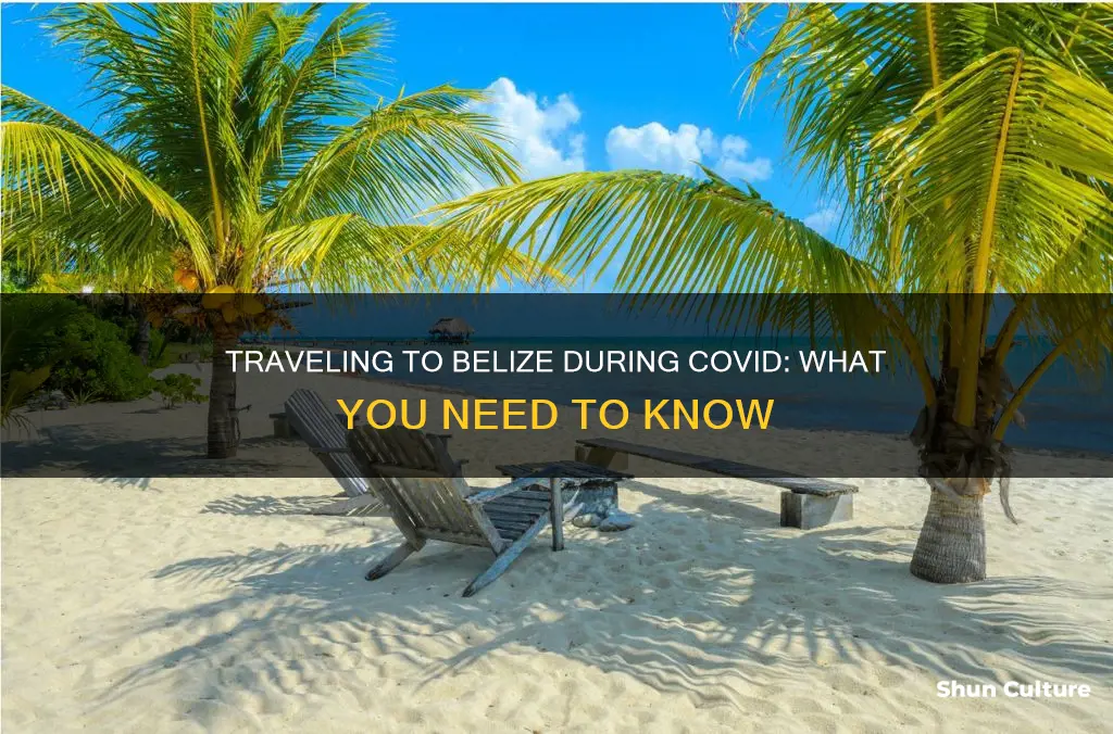 can I travel to belize during covid