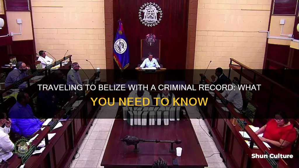 can I travel to belize with a criminal record