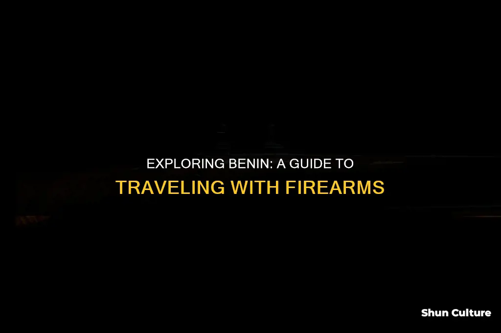 can I travel to benin with fire firearms