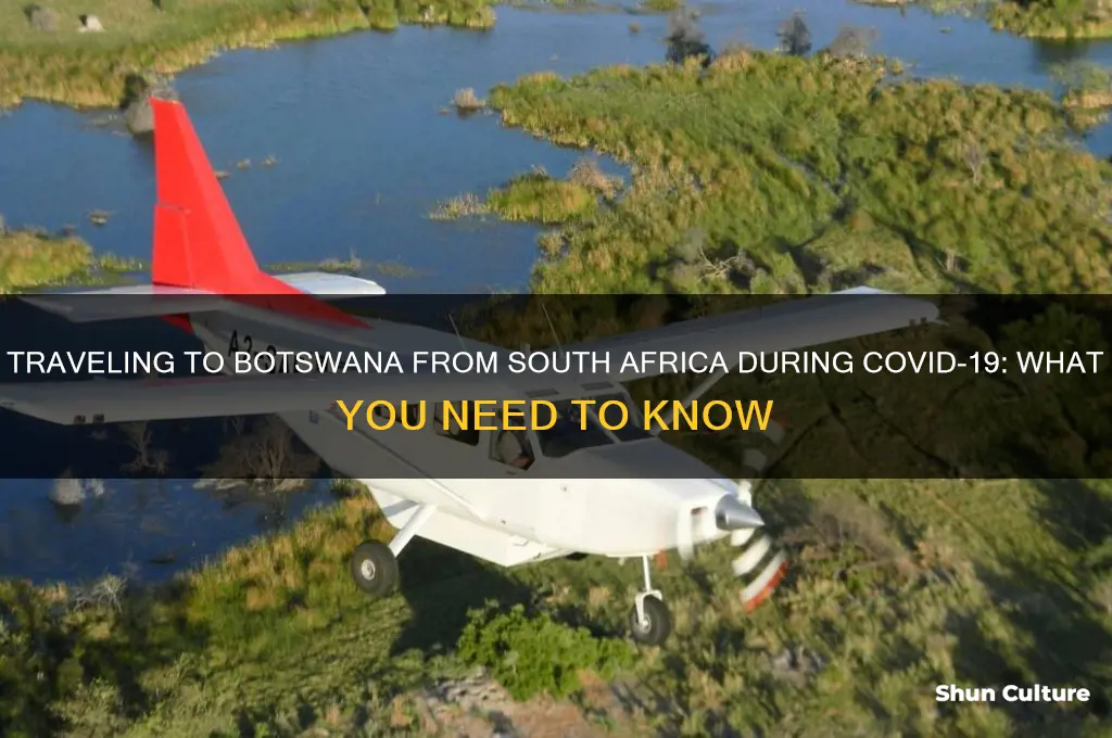 can I travel to botswana from south africa covid