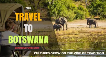 Exploring Botswana: Travel Requirements, Safety Tips, and Must-See Destinations