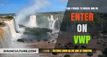 Traveling to Brazil and Re-entering the U.S. on VWP: What You Need to Know