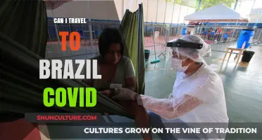 Traveling to Brazil During COVID-19: What You Need to Know