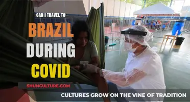 Traveling to Brazil During COVID: What You Need to Know