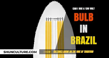 Using 120 Volt Bulbs in Brazil: Compatibility and Safety Tips