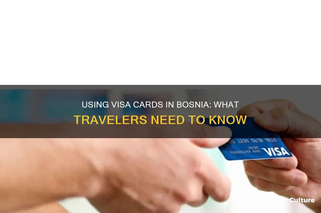 can I use a visa card in bosnia
