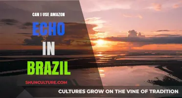 Using Amazon Echo in Brazil: Availability, Features, and Setup Guide